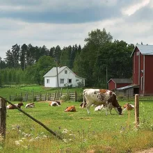 Jordbruksfastigheter