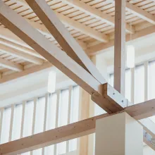 Brandskydd för trä