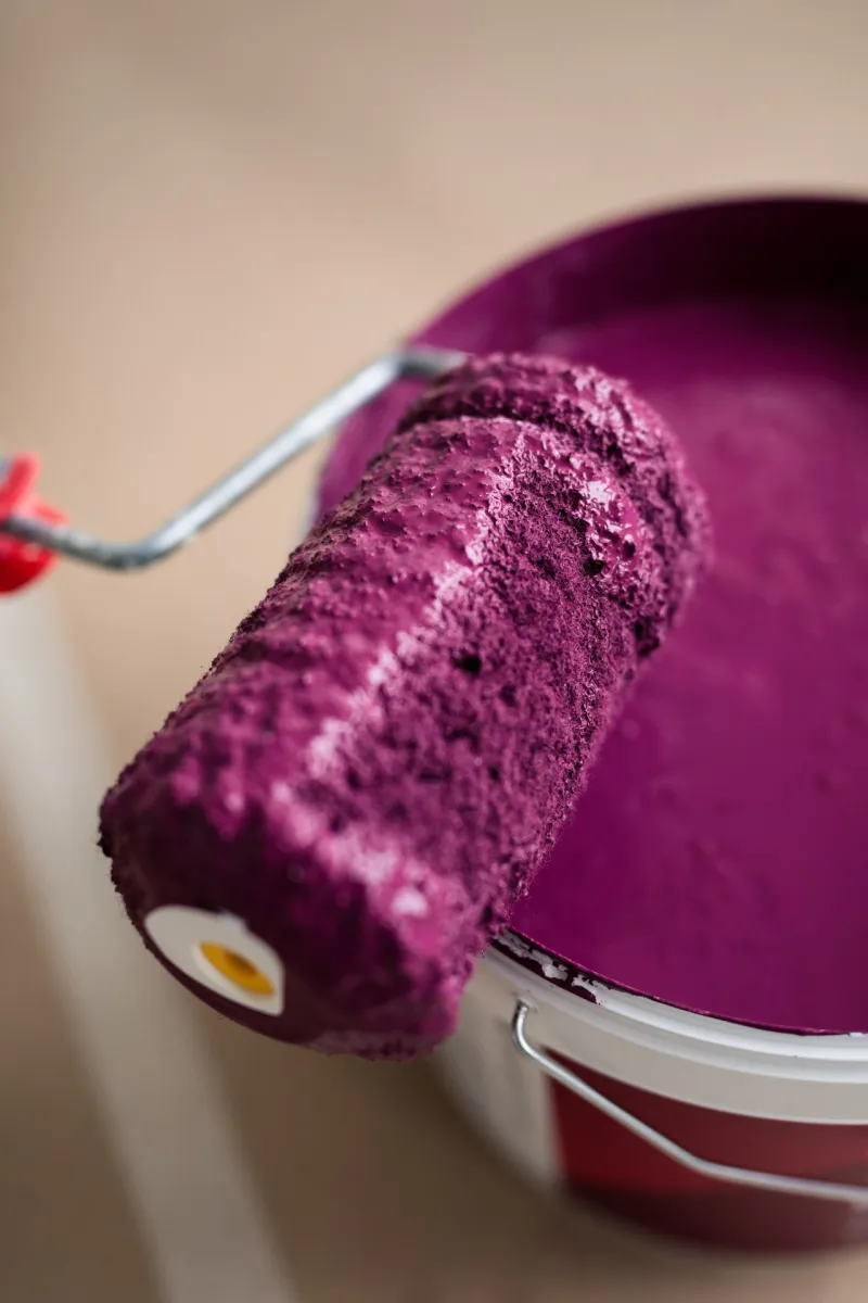 Paint